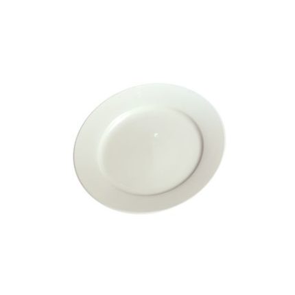 Large White Dinner Plate
