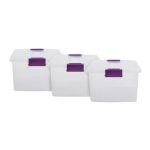 Salsa Clear Storage Containers (20 Litre) - Set of 3