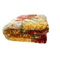 2 Ply Warm Winter Queen Blanket
