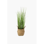 Rattan Potted Grass- 48cm