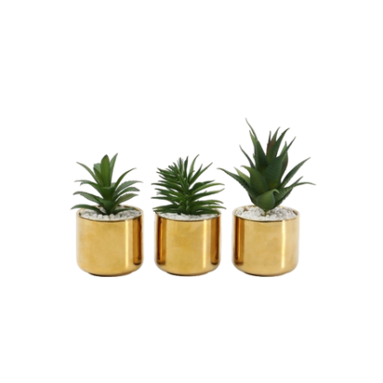 Small Artificial Succulents in Pots Set of 3