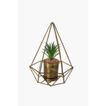 Succulent In Metallic Triangular Pot - Gold