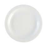 Blanco Plates Dinner Plates 25 cm (24 Pack)