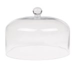 MC - Clear Cake Dome