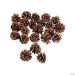 Jack Portable Cute Dried Pine Cone for Holiday Deco 18 Pack