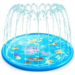 2-1 Kiddies Splash Pad