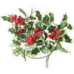 Hanging Berry Holly Leaf Garland - 2m
