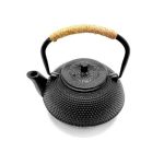 Hope Cast Iron Teapot With Infuser 800ml
