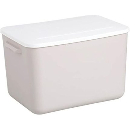 Style Plastic Storage Box with Lid - L