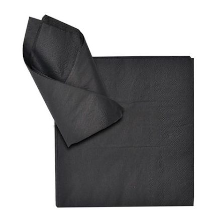 Serviettes - Napkins - Black - 2 Ply - 33cm - 20 Pack - 12 Pack