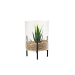 Potted Glass Faux Plant on Glass
