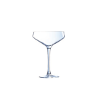 Square Coupe Martini Glass - 2 Pack