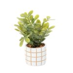 Greenery In Check Pot (8x19cm) - Set of 2