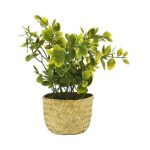 Home Decor Basket Potted Plants - Set of 2