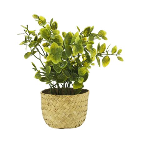 s-pdpxl Home Decor Basket Potted Plants - Set of 2 - Image 1