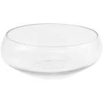 Glass Salad Bowl