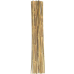 Quality Bamboo Canes Plant Support Sticks - Pack of 10 - 150 cm