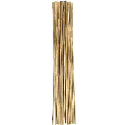 Quality Bamboo Canes Plant Support Sticks - Pack of 10 - 150 cm
