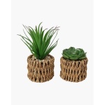 Mini Artificial Seagrass Succulents - Set of 3