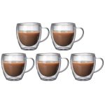 5 PCs 250ml Double Wall Insulated Glass Mugs Set