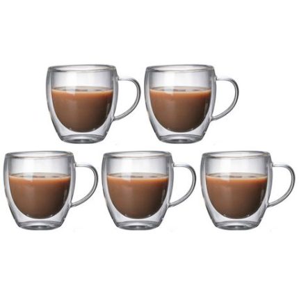 5 PCs 250ml Double Wall Insulated Glass Mugs Set