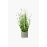 Potted Grass