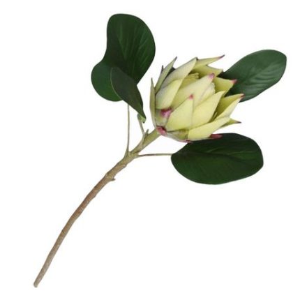 Single King Protea Artificial Flower Stem - Green