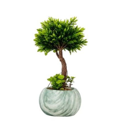 Artificial Mini Bonsai Tree with Ceramic Pot