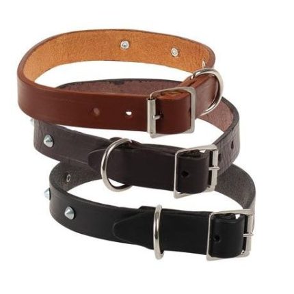 Bulk Pack 5x Pet Dog-Collar Leather Rivetted 25mm