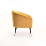 Colt Velvet Chair - Black Leg - Image 10