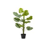 Delicious Monster Plant In Pot - 104Cm