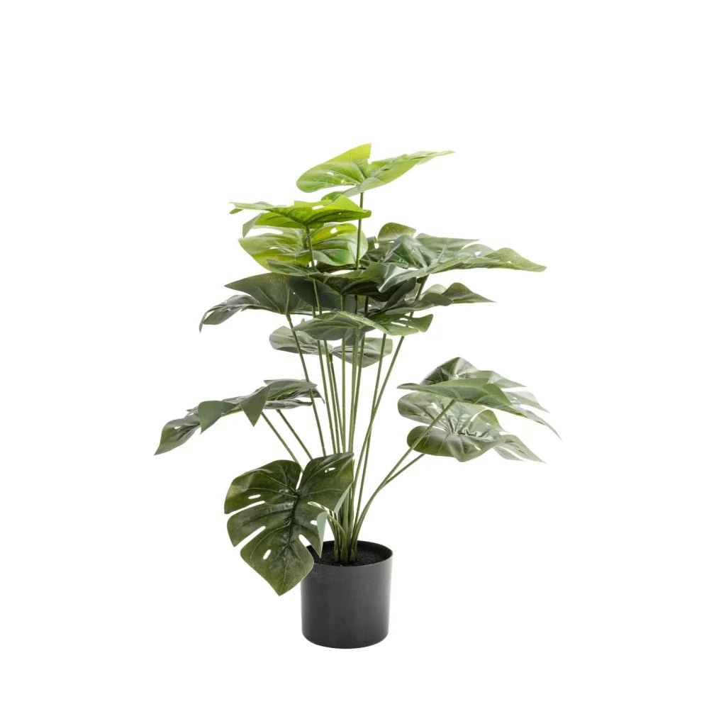 decofurn-furniture-delicious-monster-plant-in-pot-66cm-838 Delicious Monster Plant In Pot- 66Cm - Image 1