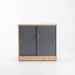 Logo 2 Door Cabinet - Image 4