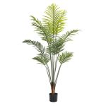 Palm Plant In Pot - 160Cm