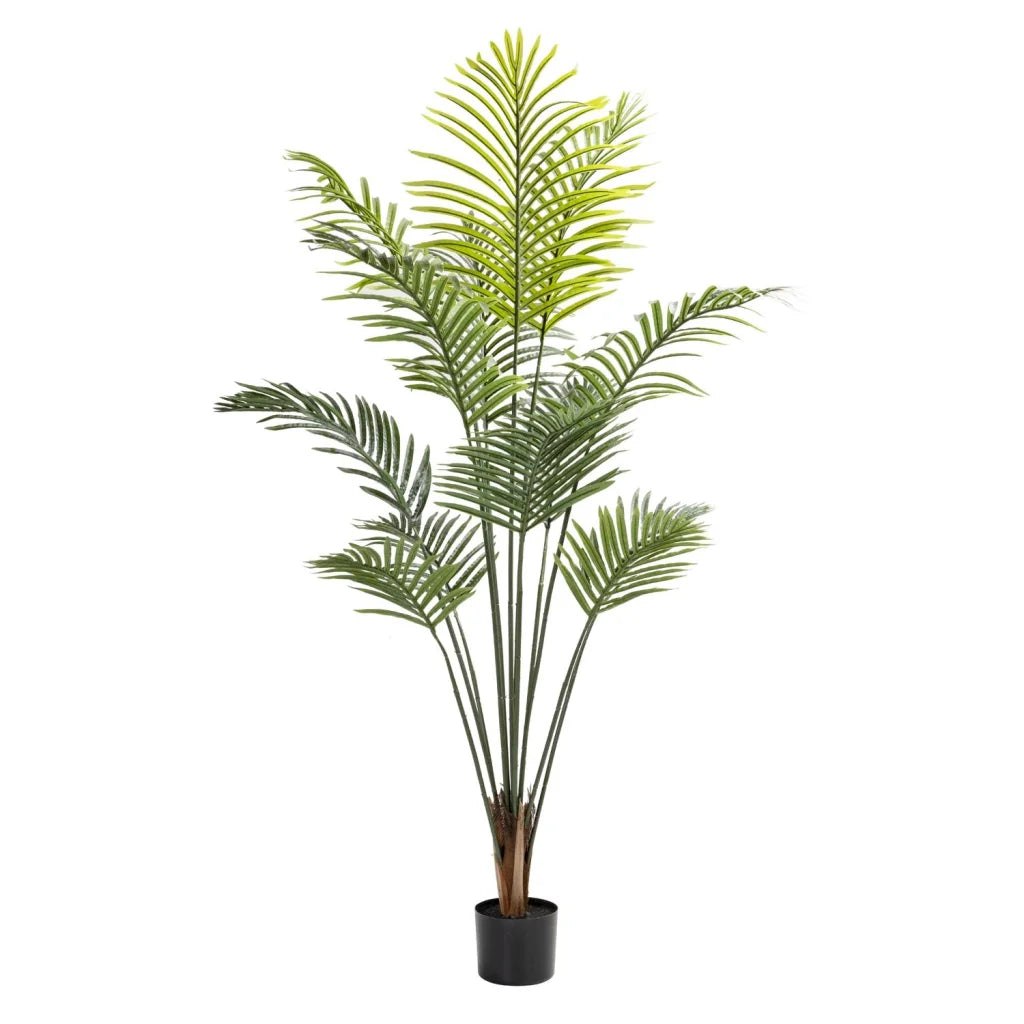 decofurn-furniture-palm-plant-in-pot-160cm-561 Palm Plant In Pot - 160Cm - Image 1