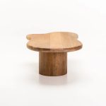 Rumi 130X70Cm Solid Wood Coffee Table - Image 2