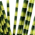Straw - 6mm Paper Straws | UNWrapped | 25's