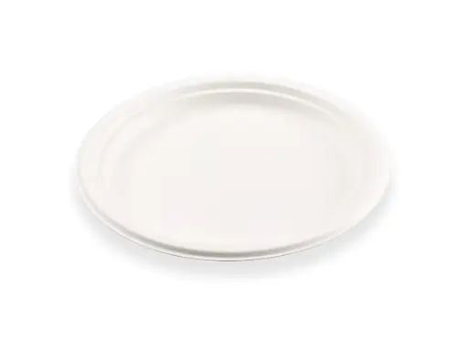 image_512 Round Plate - 23cm x 20.6cm (9') | Sugarcane | Catering | 50's - E - Image 1