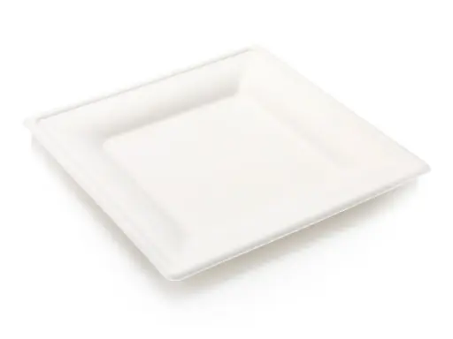 image_512 Square Plate - 26cm | Sugarcane | 50's - Image 1
