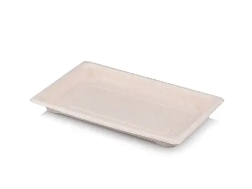 image_512 Sushi Tray | Medium (21.7cm x 13.6cm) | Sugarcane | 100s - Image 1