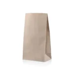 SO12 Kraft Paper Bag | 18 x 33 x 10cm | 50's - CCP
