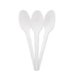 16cm CPLA Cutlery | Spoon | 50's - AJ