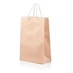 Carry Bag: Paper Shopper Bag (LONG) with Handle | Large  (36x25+13cm) | 25's (C)
