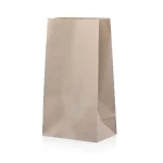 SO20 Bag | Kraft | 20.5x37x12.5cm | 250's